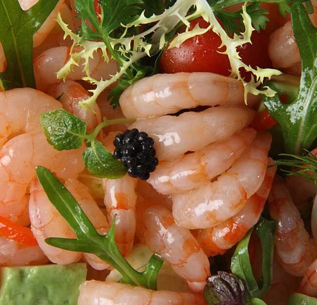 Professional Restaurant Food Photographer Dubai