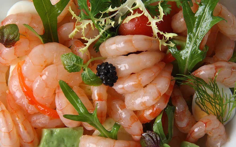 Professional Restaurant Food Photographer Dubai